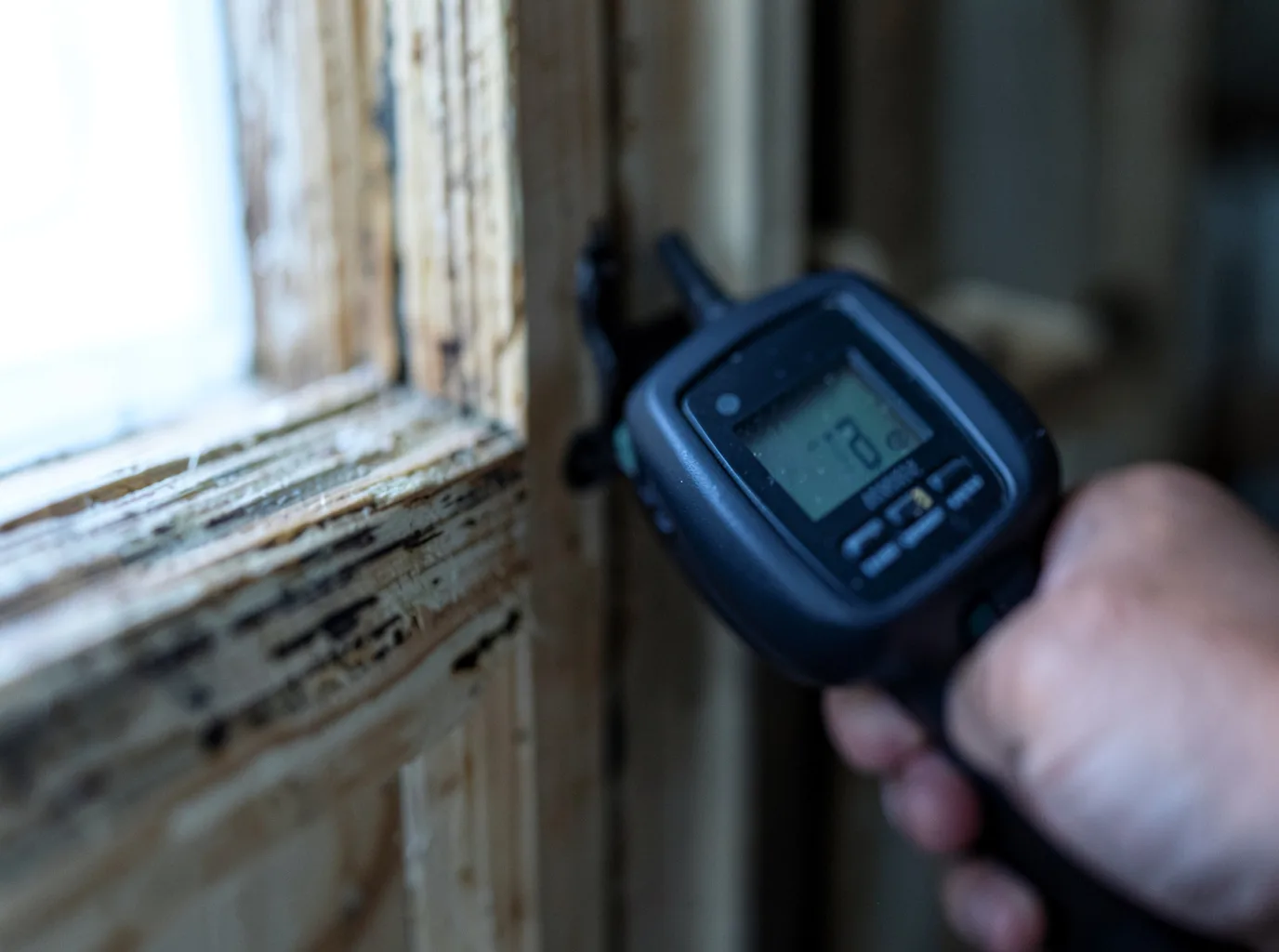 Moisture Inspection And Documentation in Franktown, VA